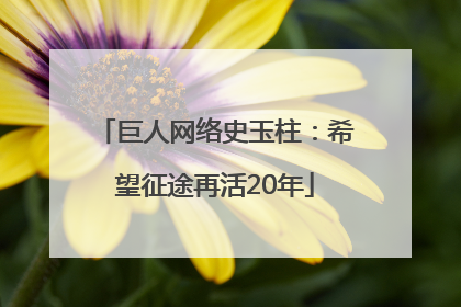 巨人网络史玉柱：希望征途再活20年