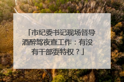 市纪委书记现场督导酒醉驾夜查工作：有没有干部耍特权？