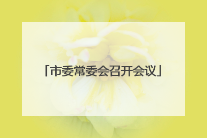 市委常委会召开会议