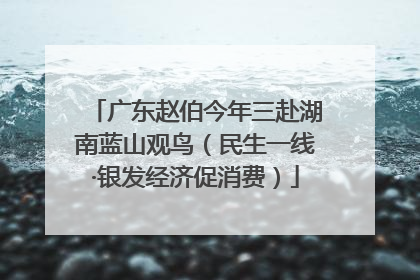 广东赵伯今年三赴湖南蓝山观鸟（民生一线·银发经济促消费）