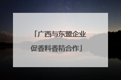 广西与东盟企业促香料香精合作