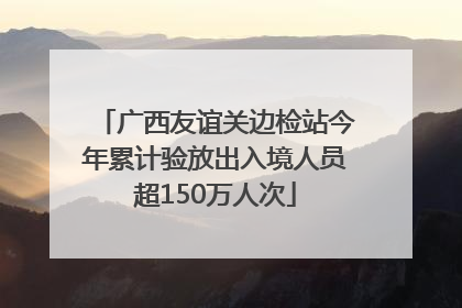 广西友谊关边检站今年累计验放出入境人员超150万人次