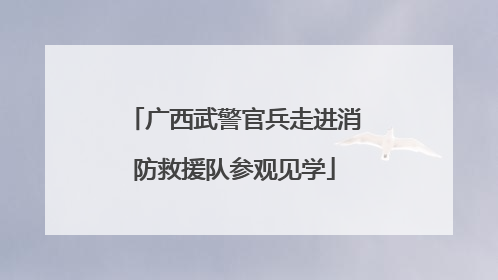 广西武警官兵走进消防救援队参观见学