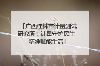 广西桂林市计量测试研究所：计量守护民生 精准赋能生活