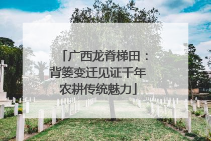广西龙脊梯田：背篓变迁见证千年农耕传统魅力
