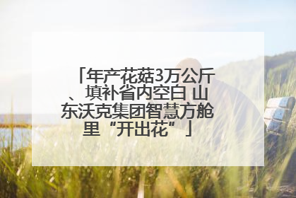年产花菇3万公斤、填补省内空白 山东沃克集团智慧方舱里“开出花”