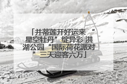 并蒂莲开好运来 “星空牡丹”绽异彩 洪湖公园“国际荷花派对”三天迎客六万