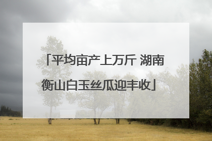 平均亩产上万斤 湖南衡山白玉丝瓜迎丰收