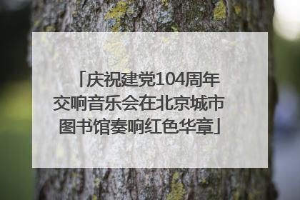 庆祝建党104周年交响音乐会在北京城市图书馆奏响红色华章