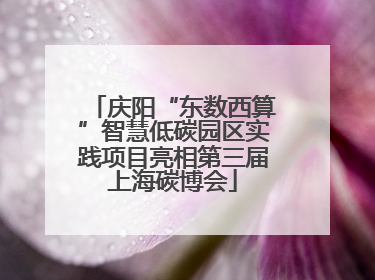 庆阳“东数西算”智慧低碳园区实践项目亮相第三届上海碳博会
