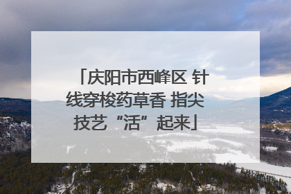 庆阳市西峰区 针线穿梭药草香 指尖技艺“活”起来