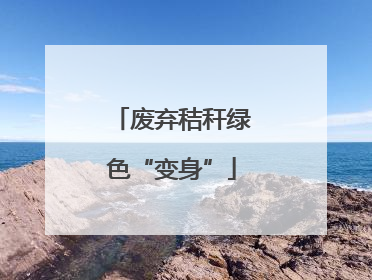 废弃秸秆绿色“变身”