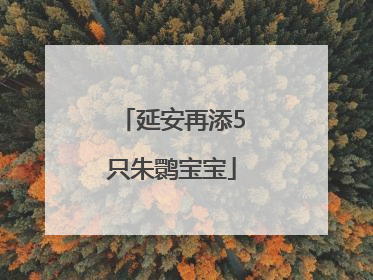延安再添5只朱鹮宝宝