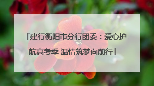 建行衡阳市分行团委：爱心护航高考季 温情筑梦向前行