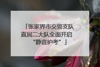 张家界市交警支队直属二大队全面开启“静音护考”