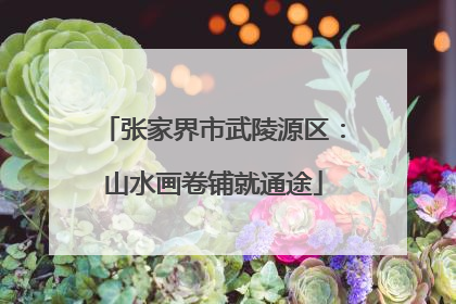 张家界市武陵源区：山水画卷铺就通途