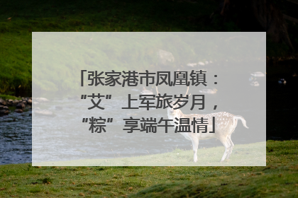 张家港市凤凰镇：“艾”上军旅岁月，“粽”享端午温情