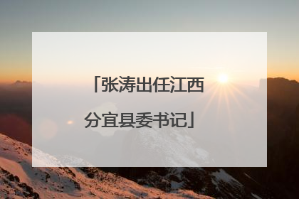 张涛出任江西分宜县委书记