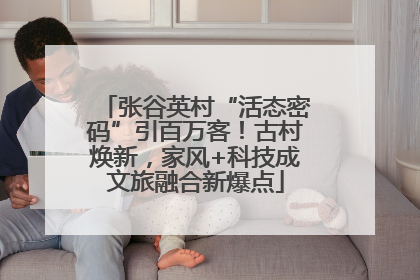 张谷英村“活态密码”引百万客！古村焕新，家风+科技成文旅融合新爆点