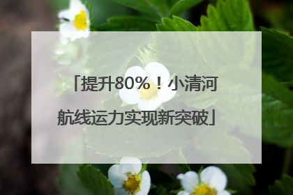 提升80％！小清河航线运力实现新突破