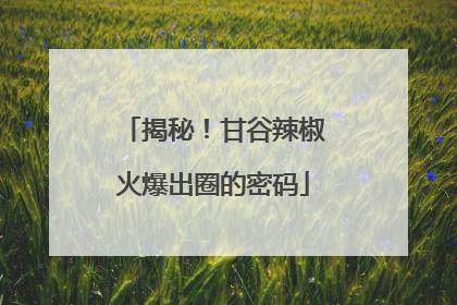 揭秘！甘谷辣椒火爆出圈的密码