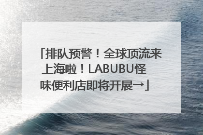 排队预警！全球顶流来上海啦！LABUBU怪味便利店即将开展→
