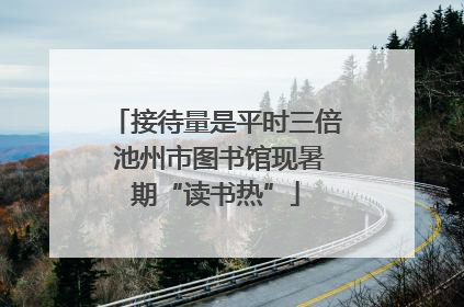 接待量是平时三倍 池州市图书馆现暑期“读书热”