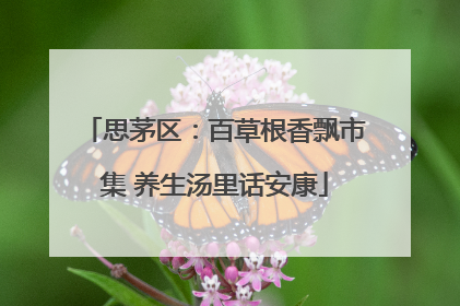 思茅区：百草根香飘市集 养生汤里话安康