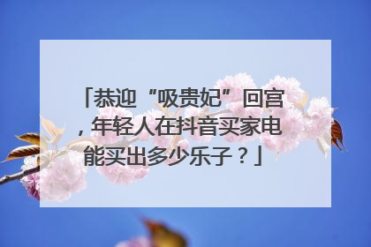 恭迎“吸贵妃”回宫，年轻人在抖音买家电能买出多少乐子？