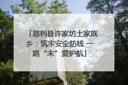 慈利县许家坊土家族乡：筑牢安全防线 一路“未”爱护航