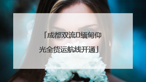 成都双流⇌缅甸仰光全货运航线开通
