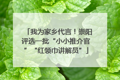 我为家乡代言！崇阳评选一批“小小推介官”“红领巾讲解员”