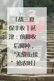战三夏 保丰收丨延津：前脚收 后脚种，“无缝衔接”抢农时