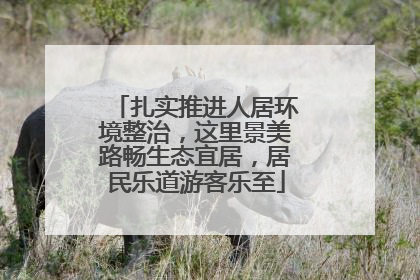 扎实推进人居环境整治，这里景美路畅生态宜居，居民乐道游客乐至