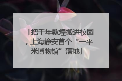 把千年敦煌搬进校园，上海静安首个“一平米博物馆”落地