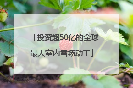 投资超50亿的全球最大室内雪场动工