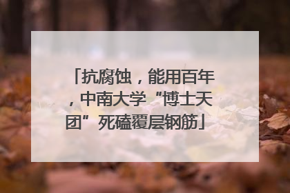 抗腐蚀，能用百年，中南大学“博士天团”死磕覆层钢筋