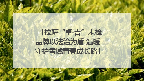 拉萨“卓·吉”未检品牌以法治为盾 温暖守护雪域青春成长路