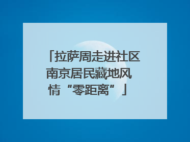 拉萨周走进社区 南京居民藏地风情“零距离”