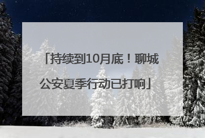 持续到10月底！聊城公安夏季行动已打响