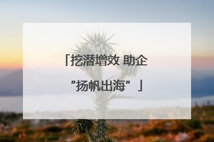 挖潜增效 助企“扬帆出海”