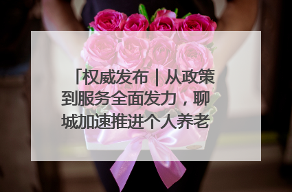 权威发布｜从政策到服务全面发力，聊城加速推进个人养老金制度落地
