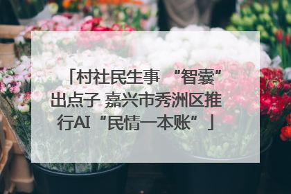 村社民生事 “智囊”出点子 嘉兴市秀洲区推行AI“民情一本账”