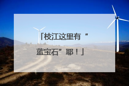 枝江这里有“蓝宝石”耶！