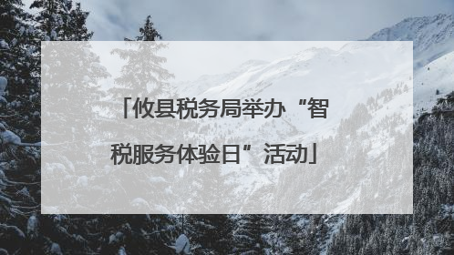 攸县税务局举办“智税服务体验日”活动