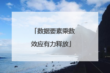 数据要素乘数效应有力释放