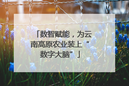 数智赋能，为云南高原农业装上“数字大脑”