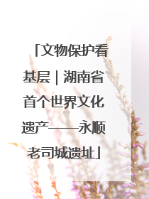文物保护看基层｜湖南省首个世界文化遗产——永顺老司城遗址