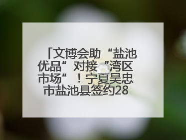 文博会助“盐池优品”对接“湾区市场”！宁夏吴忠市盐池县签约28.44亿元