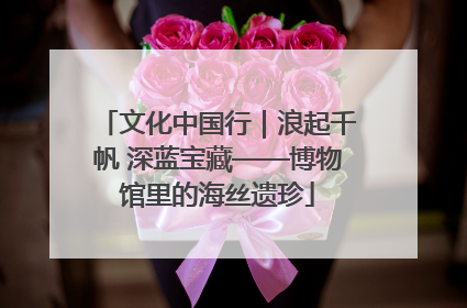 文化中国行｜浪起千帆 深蓝宝藏——博物馆里的海丝遗珍